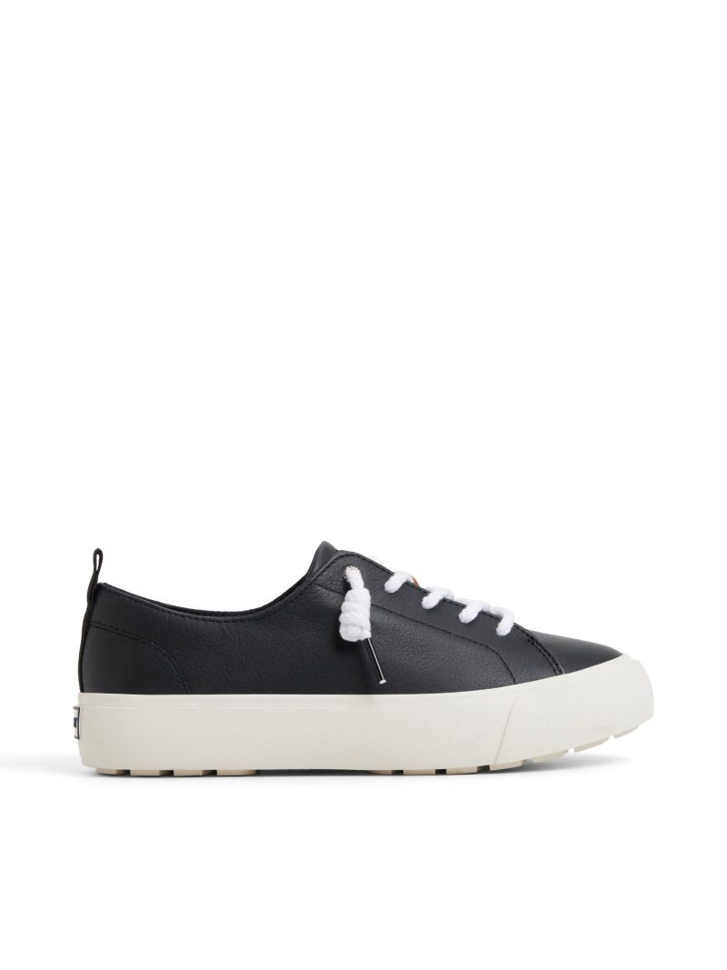 Cove Lace to Toe Sneaker